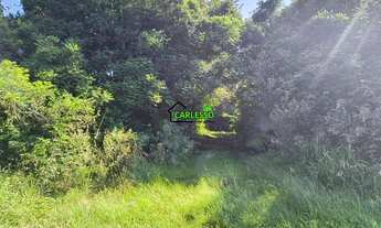 Imagem 4: Área rural de frente ao asfalto