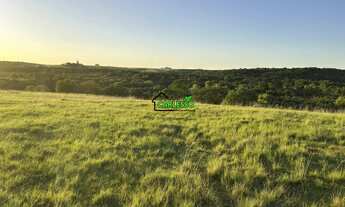 Imagem 4: Fazenda de 80 ha em Alegrete