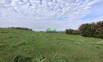 Imagem: Área rural de 25 ha