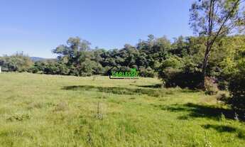 Imagem 5: Área rural de 6,5 ha