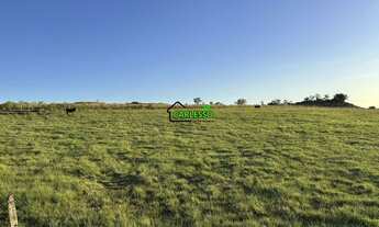 Imagem 2: Fazenda de 80 ha em Alegrete