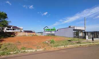 Imagem 7: Terreno no Alberto Schons