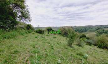 Imagem 5: 9 ha próxima à cidade de Jari