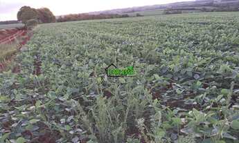 Imagem 3: 48 ha em Santo Ângelo