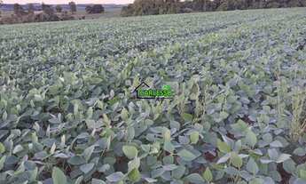 Imagem: 48 ha em Santo Ângelo