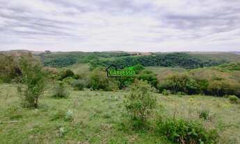 Imagem 7: 9 ha próxima à cidade de Jari