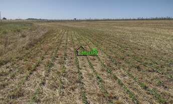 Imagem 4: 17,7 ha em Cacequi