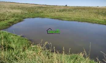 Imagem 7: 17,7 ha em Cacequi