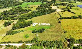 Imagem 2: Campo à venda Zona Rural Santiago/RS
