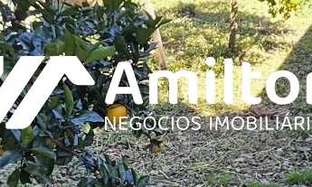 Imagem 4: Casa 3 dormitórios à venda Vila Nova Santiago/RS