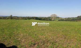 Imagem 5: Campo à venda Zona Rural Santiago/RS