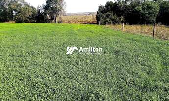 Imagem 2: Campo à venda Zona Rural Santiago/RS