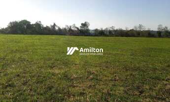 Imagem 6: Campo à venda Zona Rural Santiago/RS