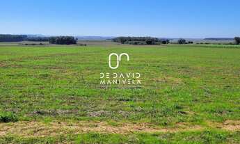 Imagem 4: CAMPO 97HÁ, 970000M² de Área Total