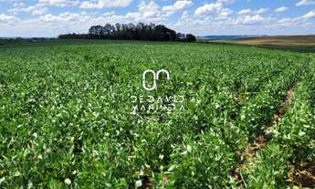 Imagem 4: Área rural com 98 há total