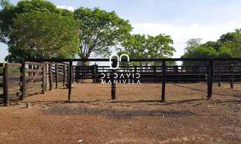 Imagem 4: Fazenda Grandiosa No Tocantins????