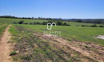 Imagem 3: CAMPO 97HÁ, 970000M² de Área Total