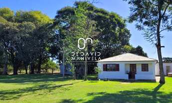 Imagem 6: CAMPO 97HÁ, 970000M² de Área Total