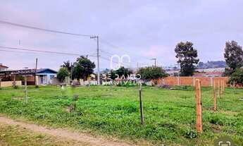 Imagem: Terreno Pinheiro Machado, Santa Maria