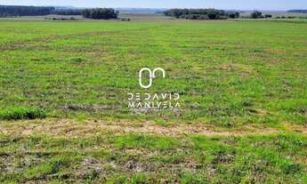 Imagem 5: CAMPO 97HÁ, 970000M² de Área Total