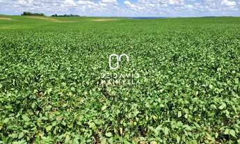 Imagem 3: Área rural com 98 há total