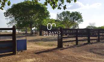 Imagem: Fazenda Grandiosa No Tocantins