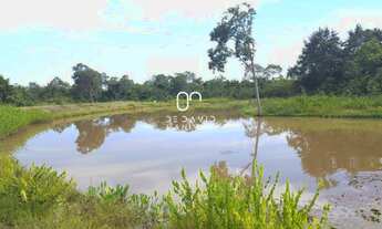 Imagem 5: Fazenda Grandiosa No Tocantins????