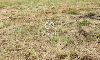 Imagem: Terreno bem Localizado