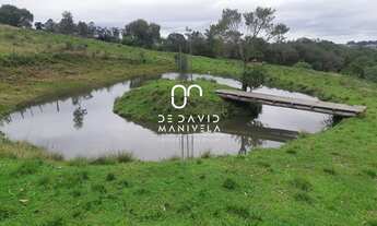 Imagem: Sitio com 4ha em Santana da Boa Vista