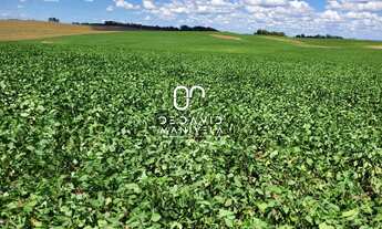 Imagem 2: Área rural com 98 há total