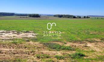 Imagem 2: CAMPO 97HÁ, 970000M² de Área Total