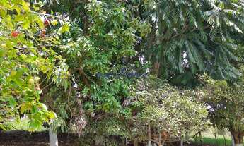 Imagem 7: Chácara em Córrego Fundo