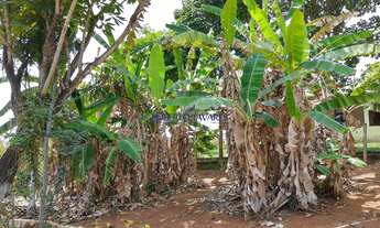 Imagem 5: Chácara em Córrego Fundo