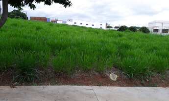 Imagem 3: Terreno a venda/Residencial Rio Branco