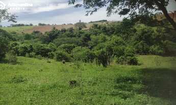 Imagem 5: Sítio 5 alqueires/Pracinha