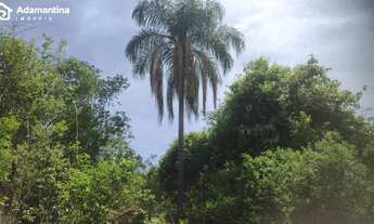 Imagem 3: Sítio 5 alqueires/Pracinha