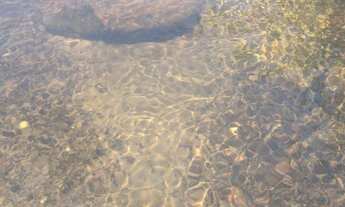 Imagem 4: Sítio 5 alqueires/Pracinha