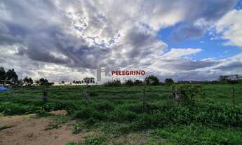 Imagem 6: Pelegrino Imóveis vende Sítio em Tapes