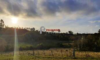 Imagem 1: Pelegrino Imóveis vende chacára na BR 116