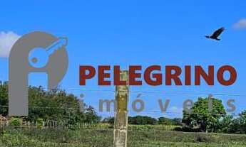 Imagem 4: Pelegrino Imóveis vende terreno em Tapes