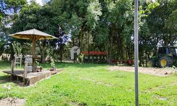 Imagem 5: Pelegrino Imóveis vende chácara em Tapes