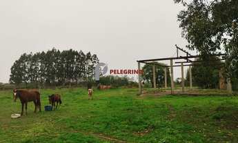 Imagem: Pelegrino Imóveis vende terreno no Balneário