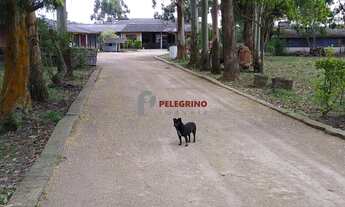 Imagem 3: Pelegrino Imóveis vende sítio em Tapes
