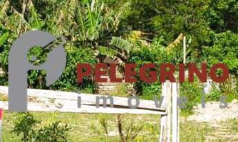 Imagem: Pelegrino Imóveis vende terreno no centro