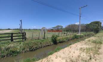 Imagem 3: Pelegrino Imóveis vende sítio no Balneário Rebello em Tapes