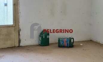 Imagem 5: Pelegrino Imóveis vende casa no Balneário Rebello em Tapes