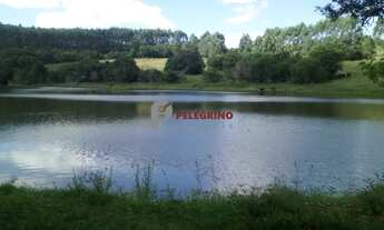 Imagem 4: Pelegrino Imóveis vende chácara em Sentinela do Sul