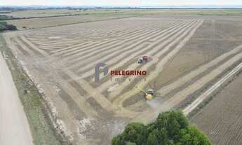 Imagem: Pelegrino Imóveis vende belissima propriedade