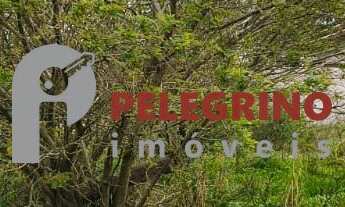 Imagem: Pelegrino Imóveis vende terreno no bairro
