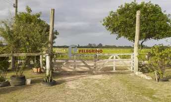 Imagem: Pelegrino Imóveis vende sitio na avenida